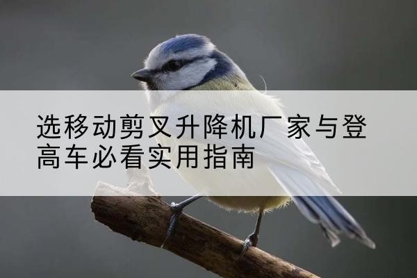 南漳电动升降机厂家-选移动剪叉升降机厂家与登高车必看实用指南