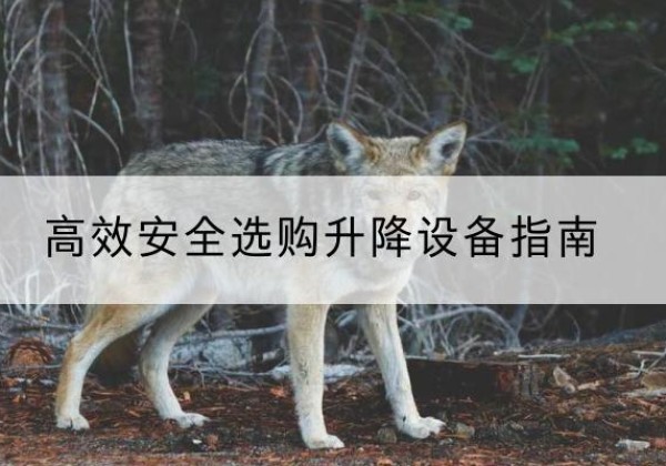 南漳升降货梯厂家推荐-*安全选购升降设备指南